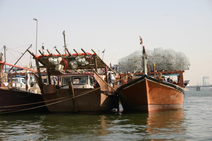 Fishing Dhows