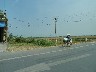 All cyclists have masks