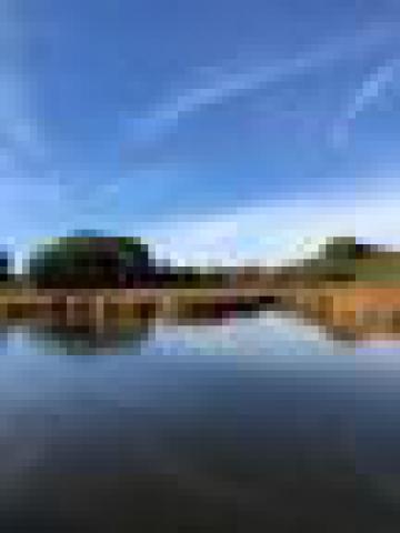 ../photos/IOW18/Caroline/IMG_0501.jpg?t=1762967195