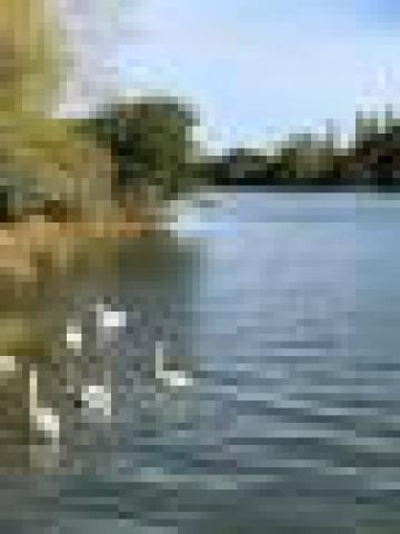 ../photos/IOW18/Caroline/IMG_0503.jpg?t=1762967195