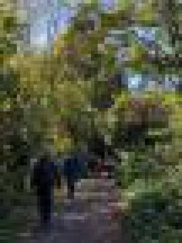 ../photos/IOW18/Caroline/IMG_0506.jpg?t=1762967195