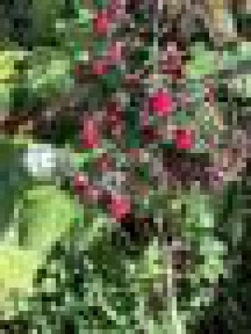 ../photos/IOW18/Caroline/IMG_0509.jpg?t=1762967195