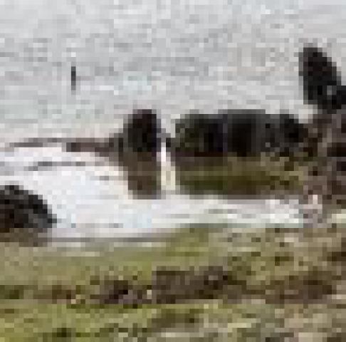 ../photos/IOW18/Caroline/IMG_0524.jpg?t=1762967195