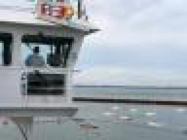 ../photos/IOW18/Caroline/IMG_0529.jpg?t=1762967195