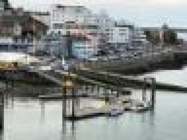 ../photos/IOW18/Caroline/IMG_0531.jpg?t=1762967195