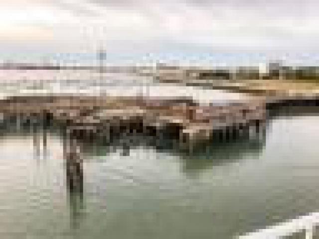 ../photos/IOW18/Caroline/IMG_0533.jpg?t=1762967195