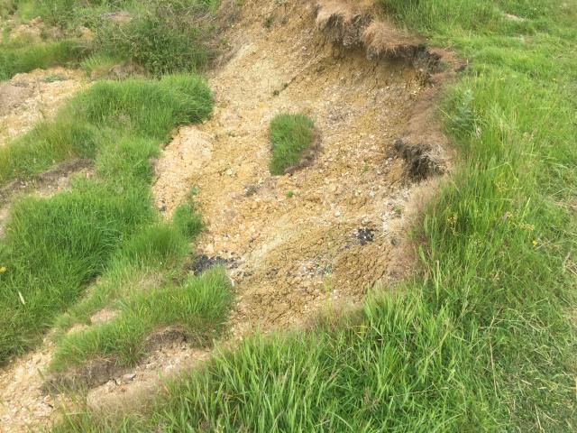 ../photos/IOW18/Graham/IMG_4378.jpg?t=1762967355