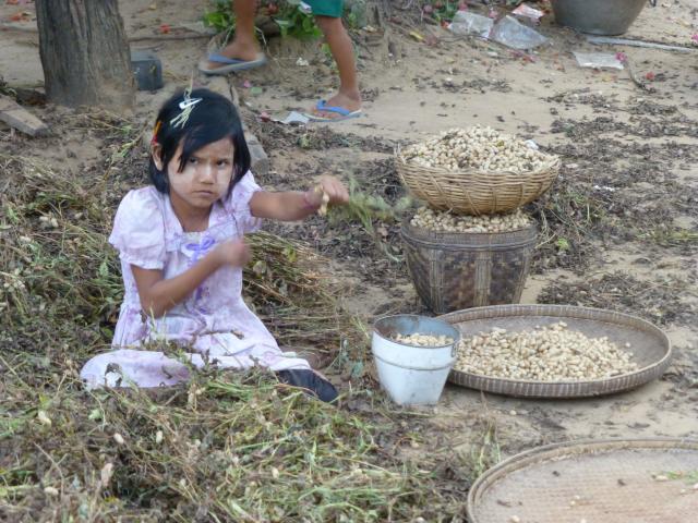 ../photos/burma/Bill/P1010791.jpg?t=1740327605