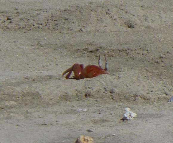 ../photos/burma/Bill/P1020257.jpg?t=1740328289