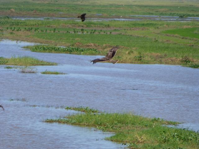../photos/burma/Bill/P1020342.jpg?t=1740328307
