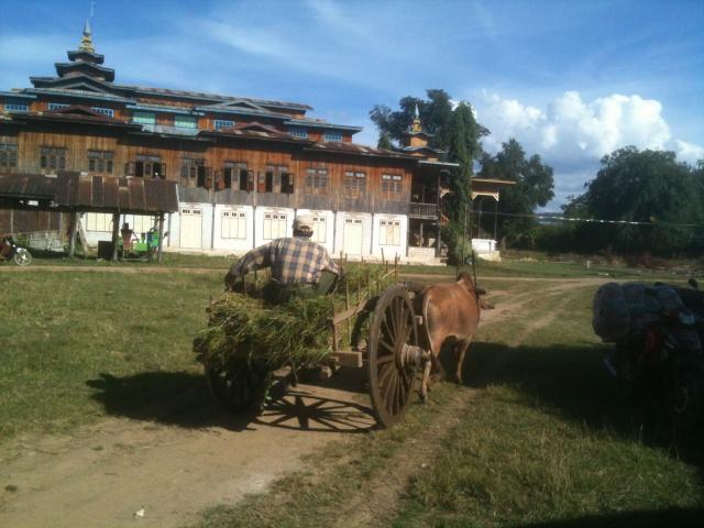 ../photos/burma/Graham/IMG_0481-2.jpg?t=1740329506