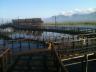 ../photos/burma/Graham/IMG_0484-2.jpg?t=1740328705