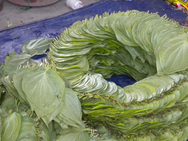 ../photos/burma/Hugh/DSCN2394.jpg?t=1740329506