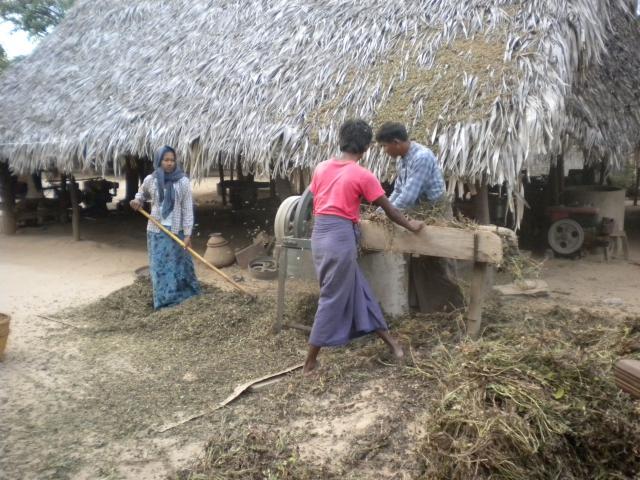 ../photos/burma/Hugh/DSCN2678.jpg?t=1740327605