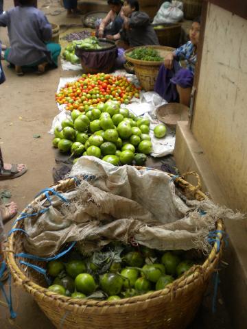 burma/Hugh/DSCN2725.jpg