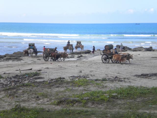 ../photos/burma/Hugh/DSCN2881.jpg?t=1740328100