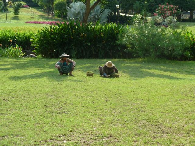../photos/burma/Jane/P1070042.jpg?t=1740329005