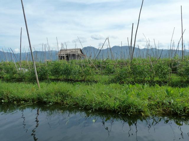 ../photos/burma/Jane/P1070258.jpg?t=1740327801