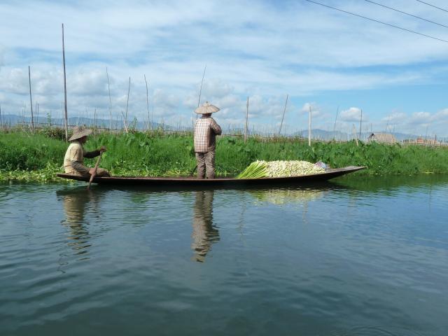 ../photos/burma/Jane/P1070262.jpg?t=1740327801