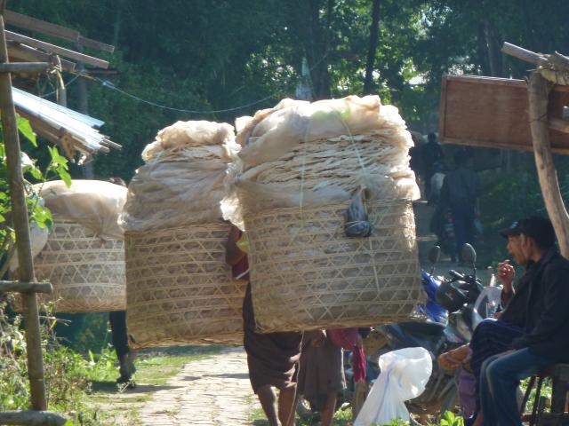 ../photos/burma/Jane/P1070333.jpg?t=1740329506