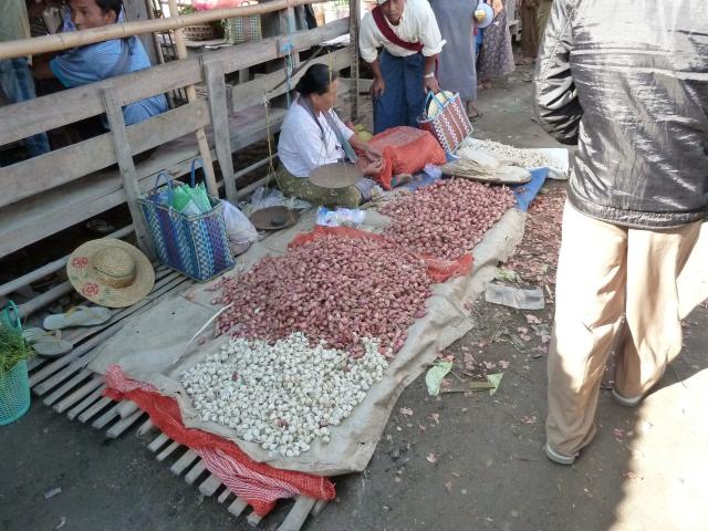 ../photos/burma/Jane/P1070349.jpg?t=1740329506