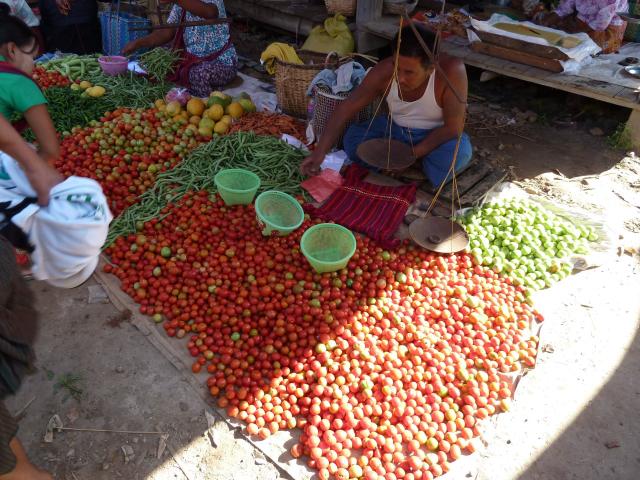 ../photos/burma/Jane/P1070354.jpg?t=1740329506