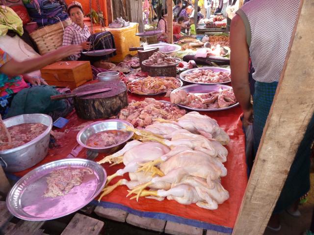 ../photos/burma/Jane/P1070359.jpg?t=1740329506