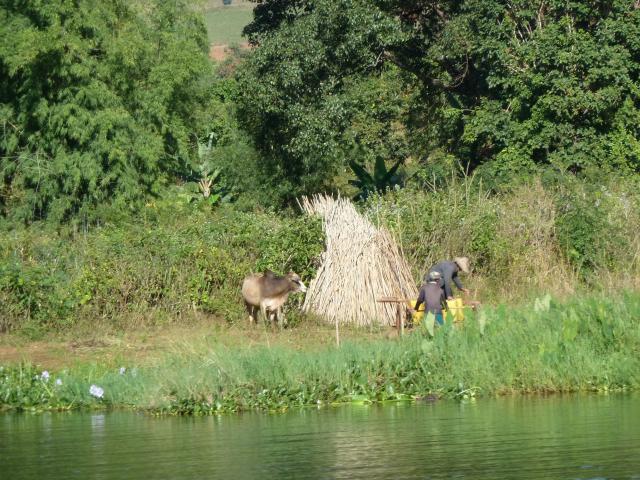 ../photos/burma/Jane/P1070486.jpg?t=1740329506