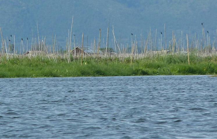 ../photos/burma/Jane/P1070580.jpg?t=1740328705