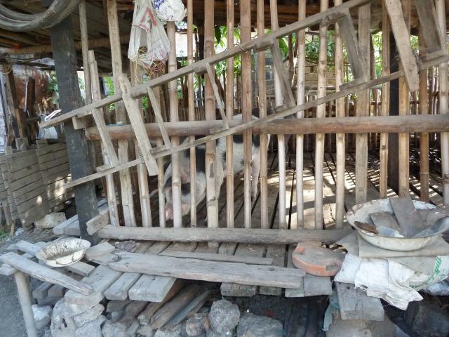../photos/burma/Jane/P1070593.jpg?t=1740328705