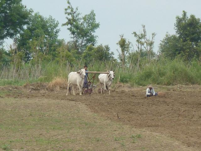 ../photos/burma/Jane/P1070976.jpg?t=1740327605