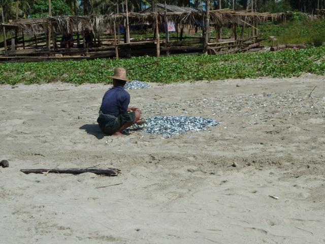 ../photos/burma/Jane/P1080217.jpg?t=1740328171