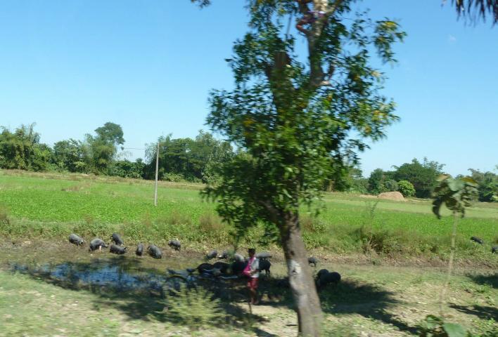 ../photos/burma/Jane/P1080298.jpg?t=1740328307