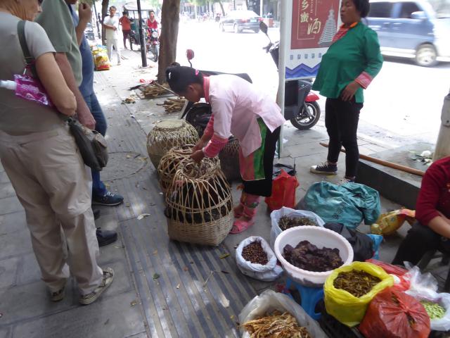 china16/Jane/P1020296.jpg