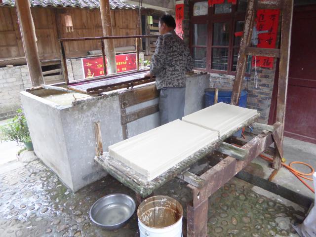 china16/Jane/P1020608.jpg