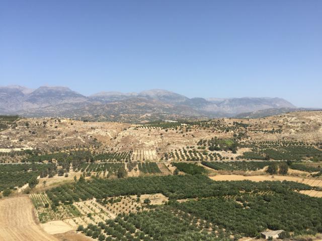 ../photos/crete/Amanda/IMG_3862.jpg?t=1740330123