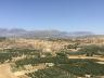 ../photos/crete/Amanda/IMG_3862_1.jpg?t=1740330123