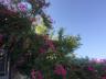 ../photos/crete/Amanda/IMG_3890_1.jpg?t=1740330123