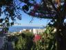 ../photos/crete/Amanda/IMG_3959_1.jpg?t=1740323901