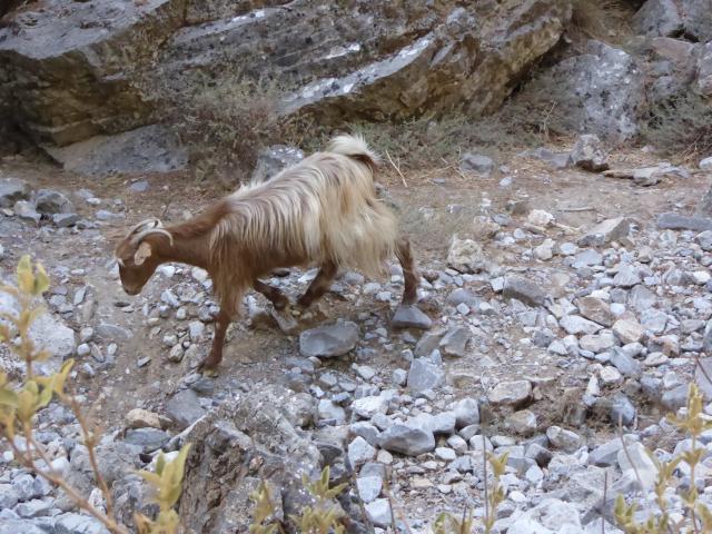 ../photos/crete/Bill/P1020867.jpg?t=1775440338