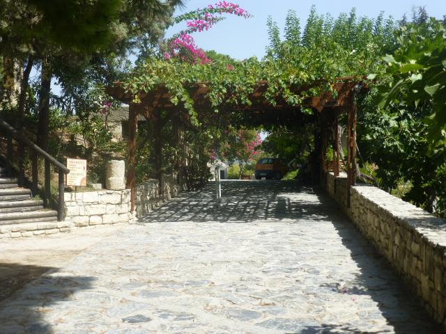 ../photos/crete/Hugh/P1060488.jpg?t=1740330123