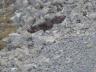 ../photos/crete/Hugh/P1060496_1.jpg?t=1740330123