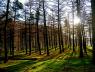 ../photos/derby/Dave/Mid_Day_Sun_at_Howden_1.jpg?t=1740331841