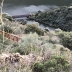 ../photos/douro/Mary/IMG_2742_1.jpg?t=1775421511