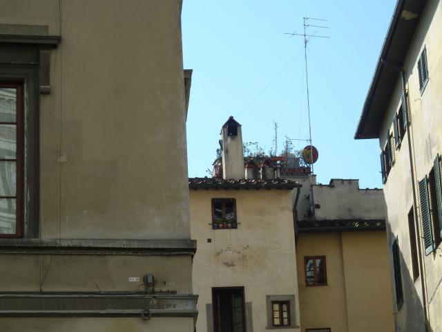 ../photos/florence/Jane/P1080372.jpg?t=1740374413