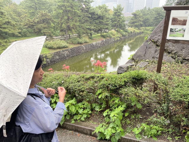 ../photos/japan/Graham/IMG_7915.jpg?t=1740331258