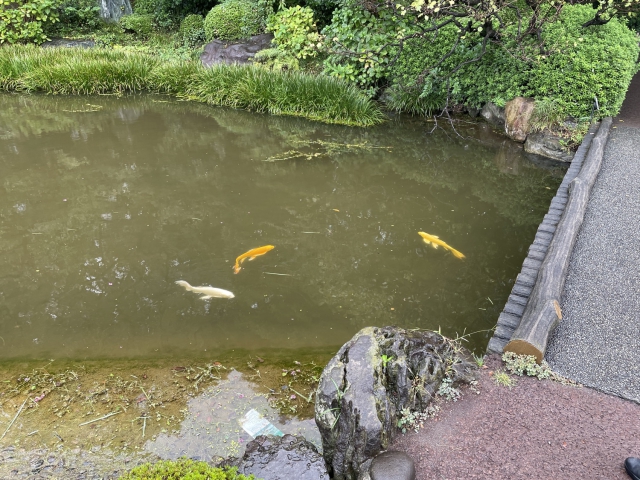 ../photos/japan/Graham/IMG_7919.jpg?t=1740331258
