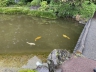 ../photos/japan/Graham/IMG_7919_1.jpg?t=1740331258