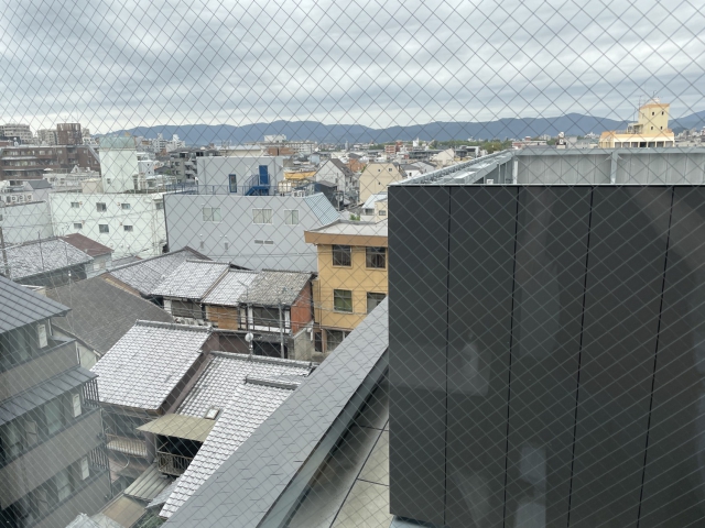 ../photos/japan/Graham/IMG_7992.jpg?t=1740328819