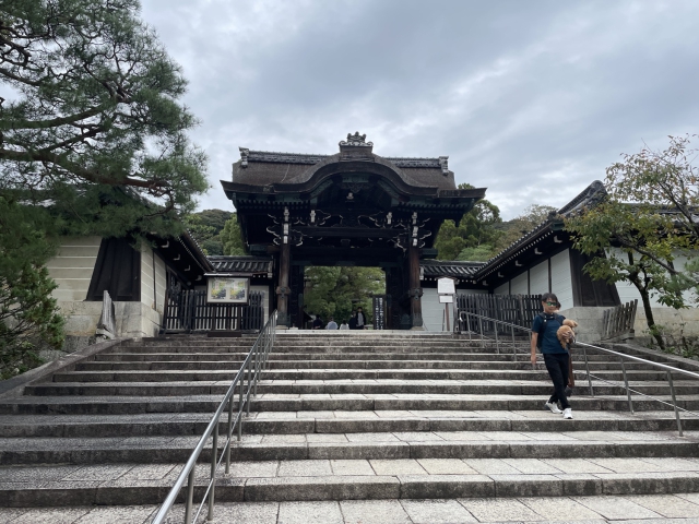 ../photos/japan/Graham/IMG_8005.jpg?t=1740328819
